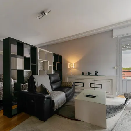 Le Sainte Barbe - Hyper Centre - Parc Des Sources Appartement