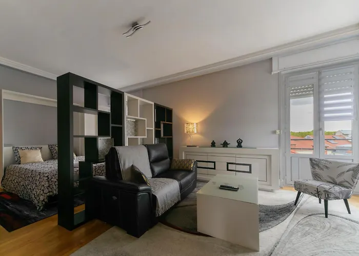 Le Sainte Barbe - Hyper Centre - Parc Des Sources Apartament