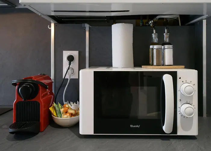 Le Sainte Barbe - Hyper Centre - Parc Des Sources Apartament