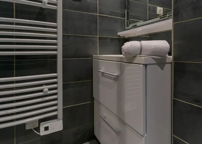 Le Sainte Barbe - Hyper Centre - Parc Des Sources Apartament Vichy